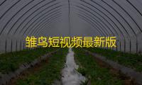 雏鸟短视频最新版